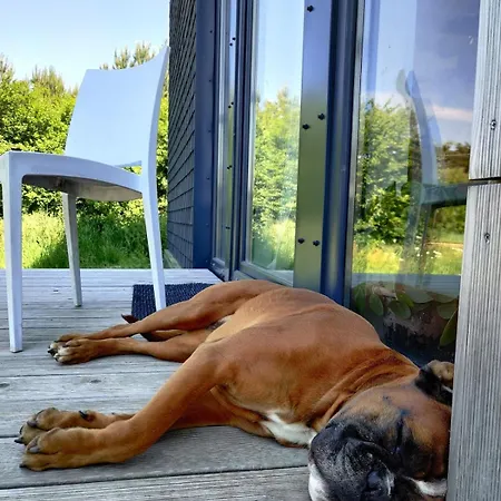 Dom Szumia Wierzby Szumlin