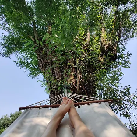 Dom Szumia Wierzby * Szumlin