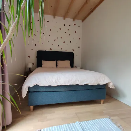 Dom Szumia Wierzby Szumlin