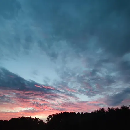 Dom Szumia Wierzby Szumlin