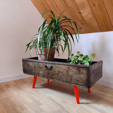 Dom Szumia Wierzby בית נופש *