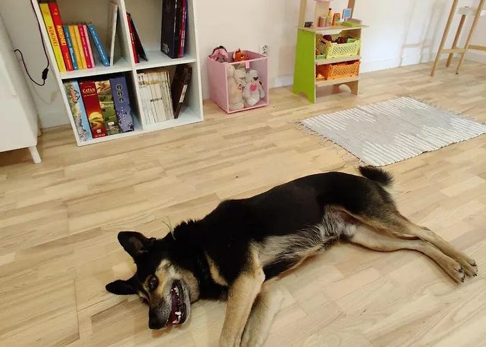 Σπίτι διακοπών Dom Szumia Wierzby Szumlin