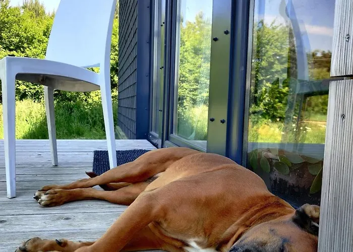 Dom Szumia Wierzby Szumlin