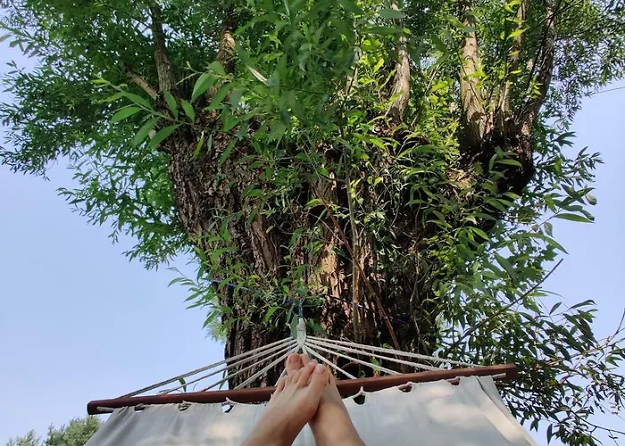 Dom Szumia Wierzby * Szumlin