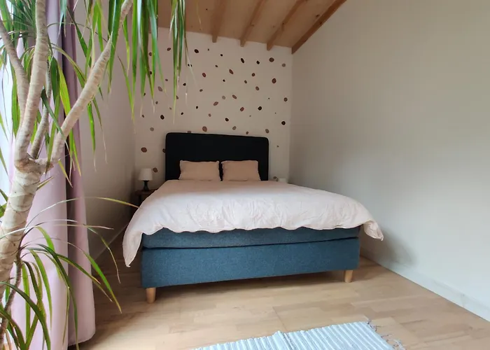 Dom Szumia Wierzby Szumlin