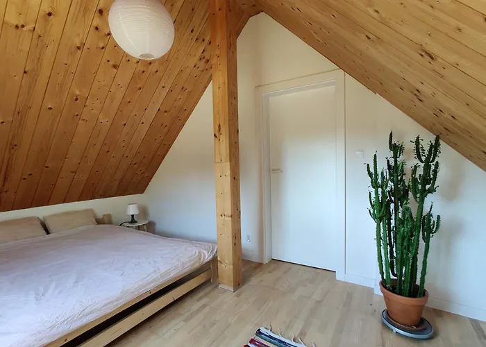 Dom Szumia Wierzby Σπίτι διακοπών *